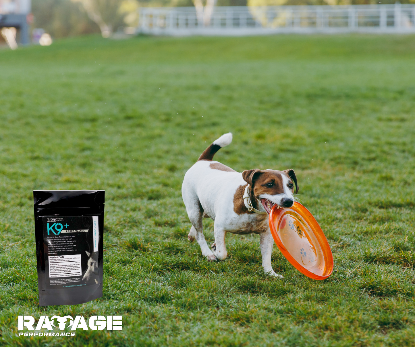 K9+ Performance for dogs (2 bags)